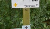 Tour Wandern Theux - 20230619 - Jehanster 7.8 Km - Photo 14