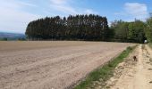 Tour Wandern Havelange - Chardeneux ac 4 - Photo 1
