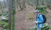 Trail Walking Fontainebleau - carrefour de Vienne 10 mars 2023  - Photo 7