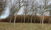 Trail Walking Veere - Se promener dans Westkapelle et dans les dunes  - Photo 20