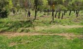 Trail Walking Saint-Genès-Champanelle - 2025-05-02-Reco-Le puy de la vache - Photo 19