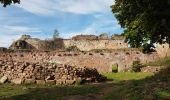 Tocht Stappen Grendelbruch - Grendelbruch - château de Guirbaden - châtaignes - Photo 20