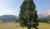 Trail Walking Prags - Braies - Strudelkopf - Monte Specie 2307m - Photo 7