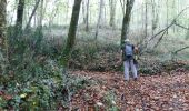 Trail Walking Artiguelouve - ARTIGUELOUVE  (PPT) balisage N24 les coteaux de la Juscle  - Photo 4