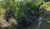 Trail Walking Vielsalm - Initiation bivouac j1 - Photo 13