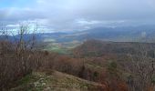 Randonnée Marche La Chapelle-en-Vercors - Serre Plumé  - Photo 16