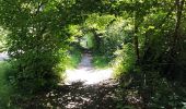 Trail Walking Chaumont-Gistoux - Sur les traces de la préhistoire  - Photo 19