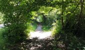 Tour Wandern Chaumont-Gistoux - Sur les traces de la préhistoire  - Photo 19