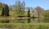 Percorso A piedi Flörsbachtal - Spessartspuren - Wiesbüttmoor und Flörsbacher Panorama - Photo 2