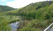 Tocht Stappen Aurec-sur-Loire - saut du chien le besset - Photo 2