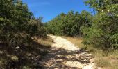 Trail Walking Banon - Le Largue 2 - Photo 8