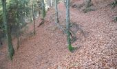 Tour Zu Fuß Todtmoos - Lebküchlerweg Todtmoos - Photo 6