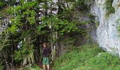 Excursión Senderismo Saint-Martin-en-Vercors - Pas st Martin - Photo 17