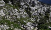 Trail Walking Fillière - Tete du Parmelan - Photo 3