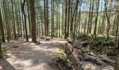 Trail Walking Waimes - Peak brune - Photo 3