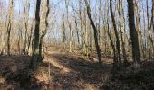 Tour Zu Fuß Geisenheim - Geisenheimer Rundweg G - Photo 4