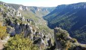 Tour Wandern Le Rozier - corniches du Mejean - Photo 4