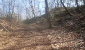 Trail Walking Esneux - parc du Mary.  rond bâti . anc carrière.  arboretum . parc du mary  - Photo 11