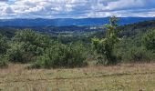 Tour Wandern Vimenet - les crêtes de Vimenet - Photo 11