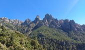 Tour Wandern Quenza - aiguilles de bavella - Photo 1