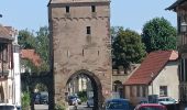 Tour Elektrofahrrad Rosheim - Rosheim Grendelbruch  - Photo 2