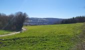 Tour Wandern Wanze - Bas Oha 180325 - Photo 20