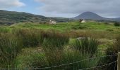 Randonnée Marche West Cork - Ardgroom -  Eyeries - Photo 12