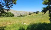 Trail Walking la Vall de Laguar - Benimaurell 250525 - Photo 1