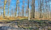 Randonnée Marche Compiègne - en forêt de Compiègne_47_autour des Beaux Monts - Photo 10