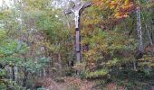 Tour Wandern Trooz - FORÊT VILLAGE  - Photo 9