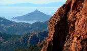 Trail Walking Saint-Raphaël - SityTrail - Pic de Cap Roux et la Grotte de Saint Baume - Photo 11