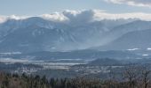 Tour Zu Fuß Velden am Wörther See - Teufelsgraben-Sternberg-Saissersee-Römerschlucht-Runde - Photo 2