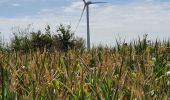 Excursión Bicicleta híbrida La Garnache - La Garnache-Boucle des éoliennes  - Photo 2