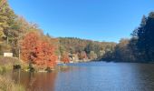 Tour Wandern Ciney - Domaine de Chevetogne / 2020-11-06 - Photo 16