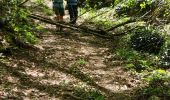 Randonnée Marche Voreppe - le trou au loup  - Photo 9