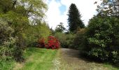 Percorso A piedi Sconosciuto - Castlewellan Forest Park - Annesley Garden Walk - Photo 2