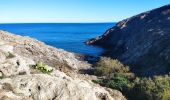 Tour Wandern Banyuls-sur-Mer - 08 novembre 2023 Banyuls-sur-Mer  - Photo 4