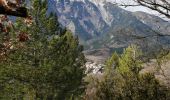 Trail Walking Brantes - petit brantes - Photo 1