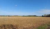 Tocht Stappen Fleurus - Marche Napoléon  - Photo 20