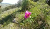 Tour Wandern Courmes - puy tourettes - Photo 3