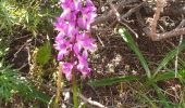 Tocht Stappen Bernex - Tour des Memises - Photo 10