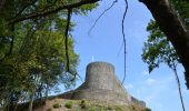 Excursión Senderismo Herbeumont - Herbeumont et son château  - Photo 2