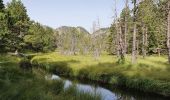 Trail Walking Les Angles - lac des bouillouses par balmette - Photo 2