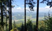 Randonnée Vélo électrique Winden im Elztal - chapelle hornleberh  - Photo 15