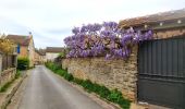 Tocht Stappen Chamarande - Boucle autour de Chamarante - Reco Didier  - Photo 6