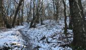 Randonnée Marche Trooz - La Panoramique - Photo 19