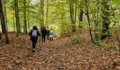 Randonnée Marche Braine-le-Château - #241108 - Braine-le-Château, Moulin Banal, Derrière les Monts, Les Meurisses, GRP 127**** - Photo 8