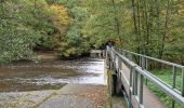 Tocht Stappen Houffalize - TOUR LAC DE NISRAMONT - Photo 3