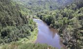 Tocht Stappen Goudet - Au fil de la Loire sauvage  - Photo 9