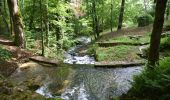 Tocht Stappen Divonne-les-Bains - Randonnée - Photo 9